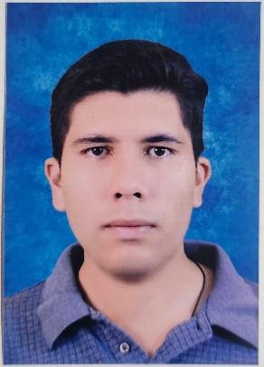 CARLOS MANUEL RAMOS ESTRADA